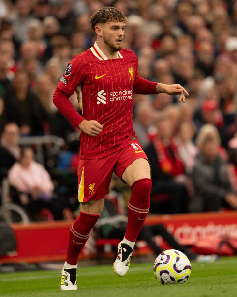 东契奇和詹 东契奇和詹