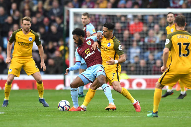 德约科维奇 德约科维奇