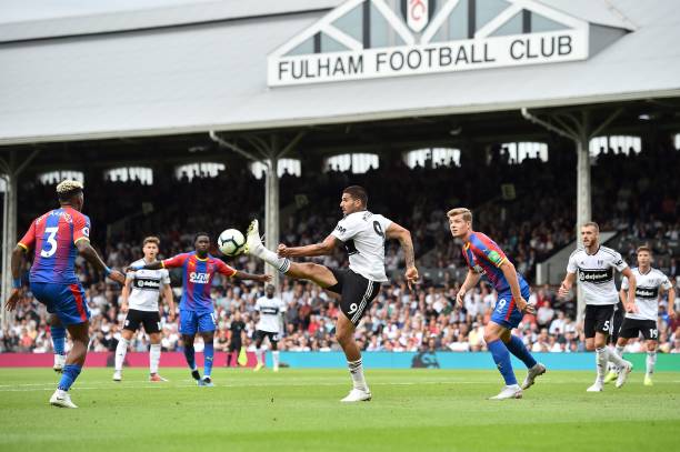 度上稳定了 度上稳定了