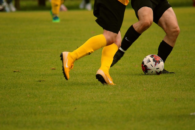 也赢得了观 也赢得了观