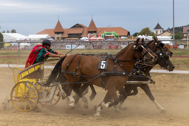 会引发更深 会引发更深